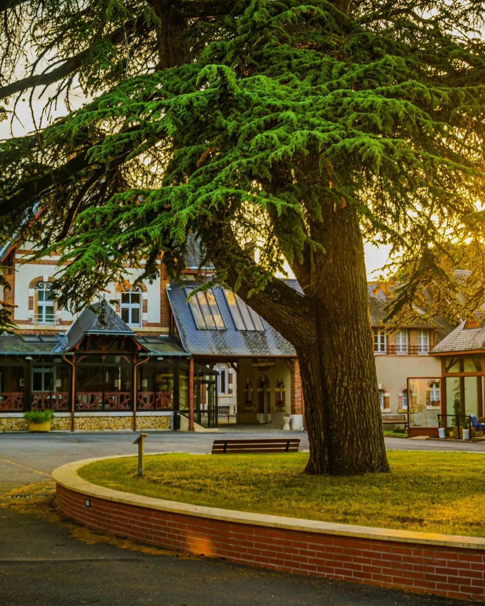 Hotel-Restaurant Domaine De La Grande Garenne Neuvy-sur-Barangeon Exteriér fotografie